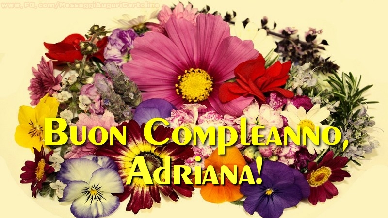 Buon compleanno, Adriana! - Cartoline compleanno