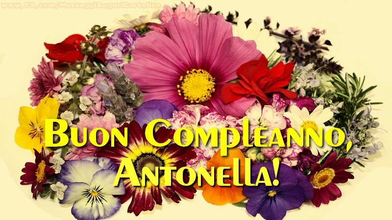 Buon compleanno, Antonella! - Cartoline compleanno