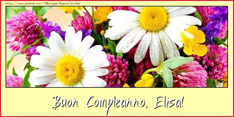 Buon Compleanno, Elisa! - Cartoline compleanno