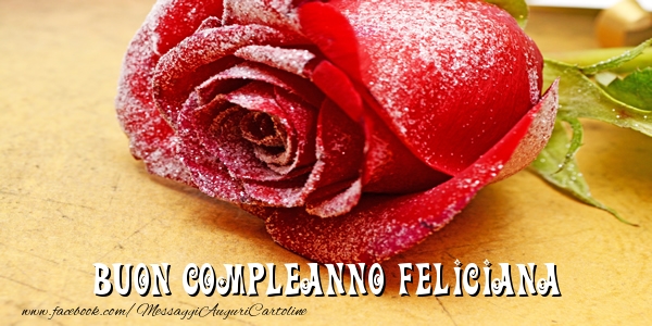 Buon Compleanno Feliciana! - Cartoline compleanno