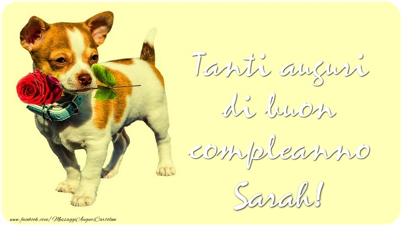 Tanti auguri di buon compleanno, Sarah - Cartoline compleanno