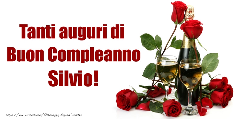 Tanti auguri di Buon Compleanno Silvio! - Cartoline compleanno